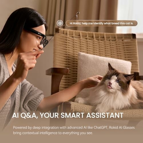 Person using AI glasses to identify cat breed.