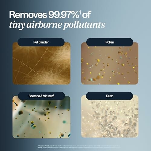 Infographic showing removal of pet dander, pollen, bacteria, viruses, and dust.