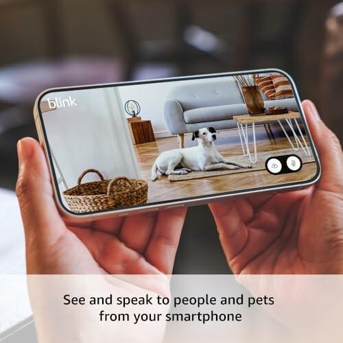 Person holding smartphone with pet monitoring app displaying a dog in a living room.